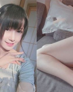磁力狗 高效的磁力狗
